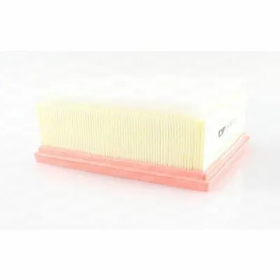 Compra Oggi Stesso OPEN PARTS EAF3665.10 Filtro Aria