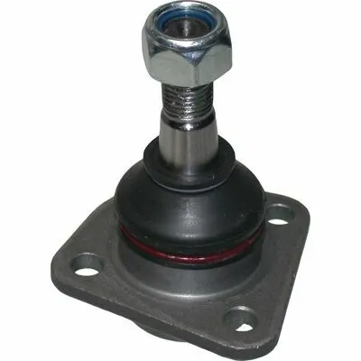 Super Prezzo BIRTH CX0005 Giunto di Supporto / Guida