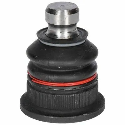 Vendita Finale BIRTH CX0106 Giunto di Supporto / Guida