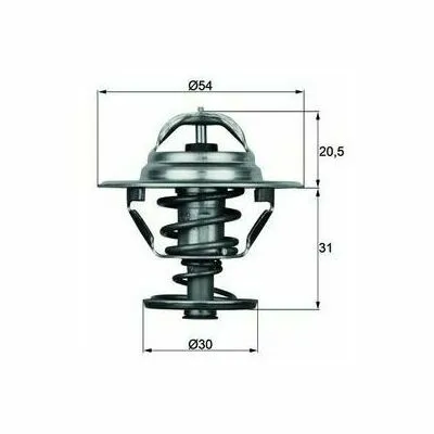 Esclusivo MAHLE BEHR TX 10 88D Termostato, Refrigerante
